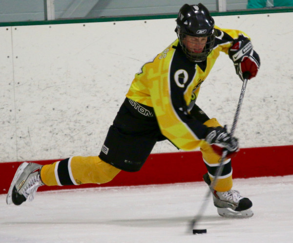 Screaming Squirrels vs. Hockey Donkeys, Jan 9, 2016.