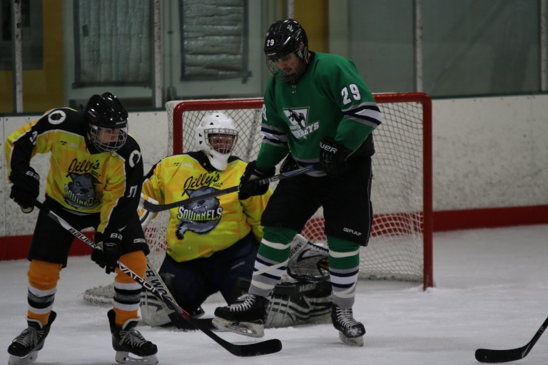 Hockey Donkeys 10, Squirrels 2 Screaming Squirrels Hockey