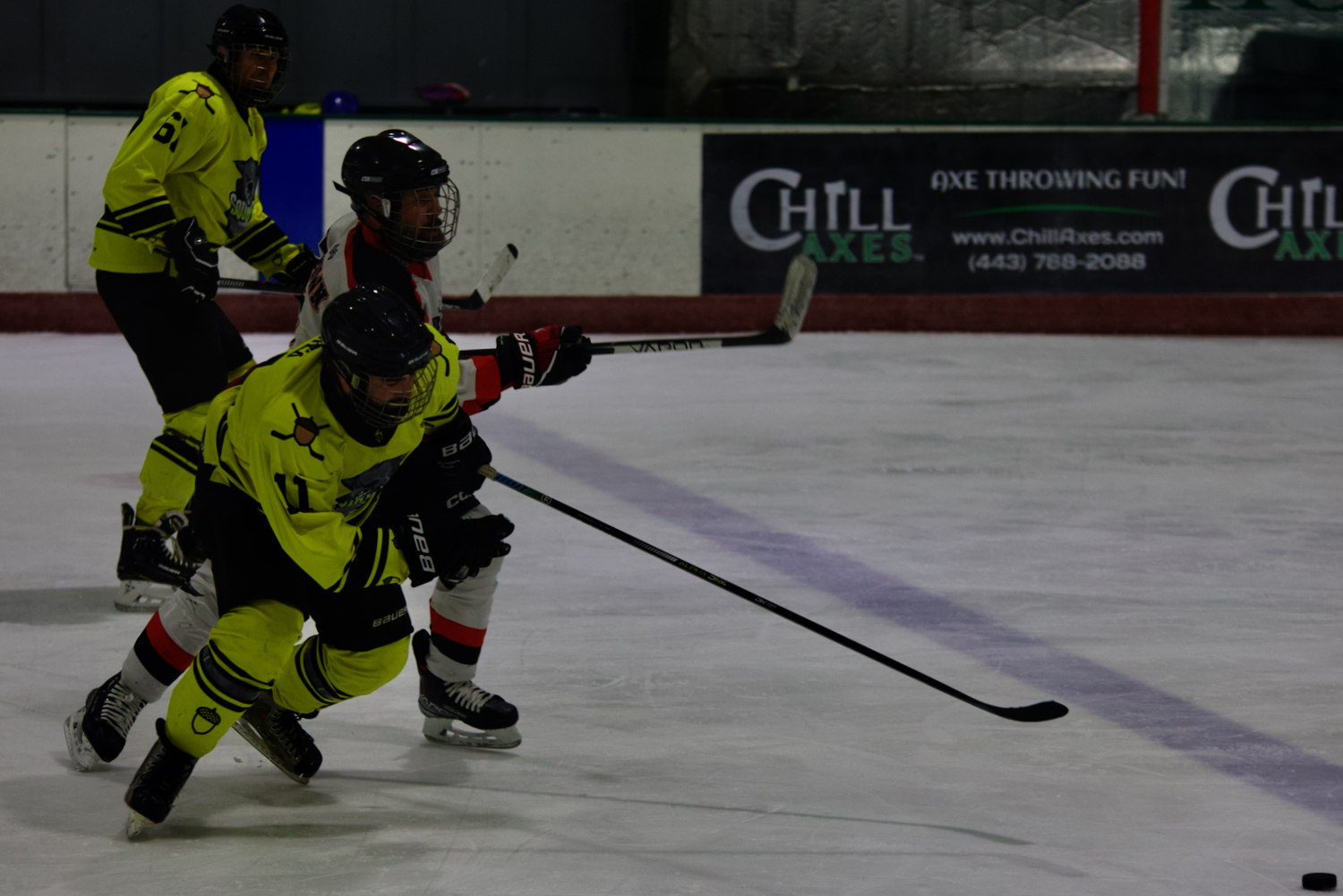 Eagles 11, Squirrels 2 | Screaming Squirrels Hockey